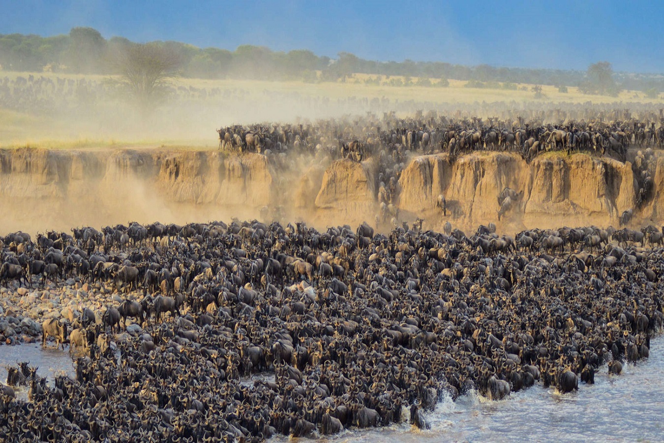 CHÂU PHI ĐỘC LẠ CHÀO ĐÓN MÙA THÚ DI CƯ KHÁM PHÁ VÙNG ĐẤT SẮC MÀU ĐÔNG PHI 2 NƯỚC TANZANIA–KENYA KHI BẦY THÚ HOANG DÃ VƯỢT SÔNG TÌM SỰ SỐNG HÀNH TRÌNH THÓT TIM CẢM XÚC 10N9Đ TỪ HÀ NỘI TP HCM 