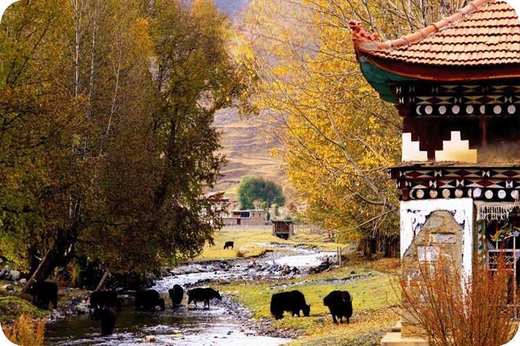 TOUR DU LỊCH HOT NHẤT THÁNG 10 THÀNH ĐÔ –  Á ĐINH – ĐẠO THÀNH – KHANG ĐỊNH - TÂN ĐÔ KIỀU ĐẾN ĐỂ KHÔNG BỎ LỠ NƠI TIÊN CẢNH NHÂN GIAN TOUR 7 NGÀY 6 ĐÊM TỪ HÀ NỘI & TP HỒ CHÍ MINH BAY SICHUAN AIRLINES (3U) 